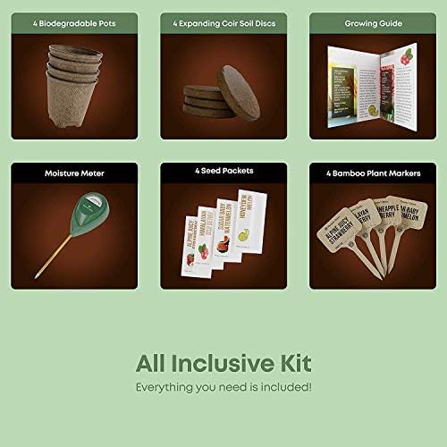 Kit de Cultivo de Frutas Exóticas: Todo Incluido para Cultivar ...