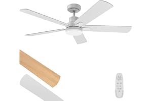 Regair Ceiling Fans with Lights 52-Inch, Remote Control Reversible DC Motors, 3CCT Dimmable Timer Noiseless, White Ceiling Fan for Bedroom Living Room, Indoor&Outdoor ETL Listed