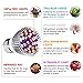 Grow Light Bulb, PATHONOR Pack of 4 Upgraded Full Spectrum 28W E27/ E26 LED Grow Light Bulbs with 1 Adapter Cable, Grow Plant Light Bulb for Hydroponics Greenhouse Organic Succulent Flowers Vegetable