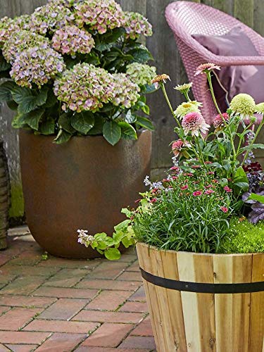 Pflanzwerk® Pflanzkübel Cup - Blumentöpfe Übertöpfe Ø27cm ROST *Frostbeständige Blumenkübel* *UV-Schutz* *Deutsche… – Bild 7
