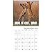 2018 Animal Memes Wall Calendar (Mead)