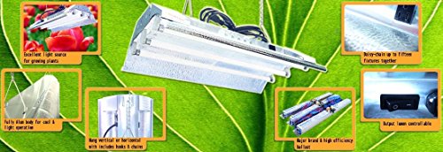 T5 HO Indoor Grow Light - 2 FT 3 Tubes - DL823 Fluorescent Hydroponic Fixture Bloom Veg Daisy Chain with Bulbs