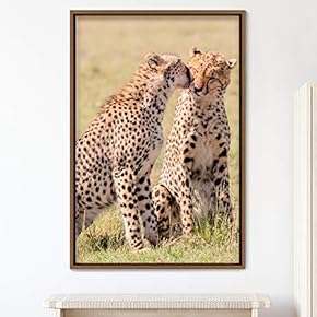 signwin Framed Canvas Wall Art Cheetah Animals Cheetah...