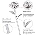 ZJchao Silver Gold Rose Gifts for Women Mother's Day Long Stem Dipped 24k Gold Rose in Gift Box Best Valentine's (Silver)