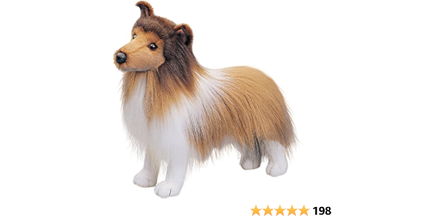 toy sheltie