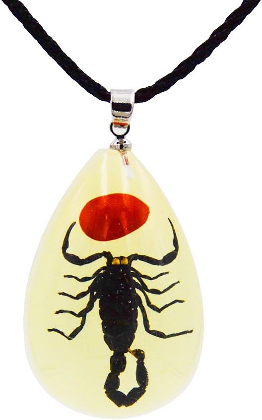 FOTTCZ Real Scorpion Necklace, Real Scorpion Pendant Necklace