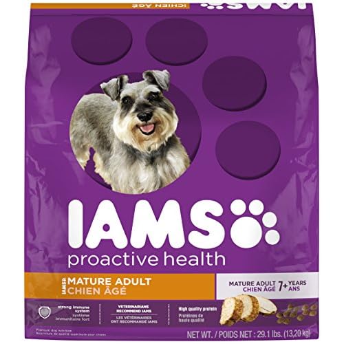 iams proactive health senior