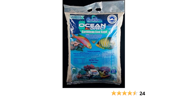 ocean direct live sand