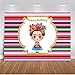 Mehofoto Frida Kahlo Mexican Backdrop Mexican Theme Birthday Party Background 7x5ft Vinyl Mexican Girl Birthday Party Banner Decoration Backdrops