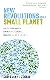 New Revolutions for a Small Planet: How the Global Shift in Humanity and Nature will Transform Our M by Kingsley Dennis