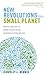 New Revolutions for a Small Planet: How the Global Shift in Humanity and Nature will Transform Our M by Kingsley Dennis