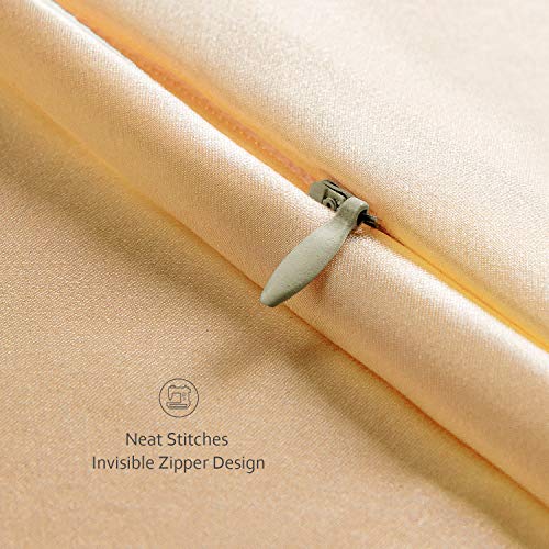 YANIBEST Pillow Cases 2 Pack 100 Mulberry Silk Pillowcase for Hair and