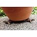 Animated Poly Resin Small Turtle Shaped Pot Feet/planter Risers Set of 3