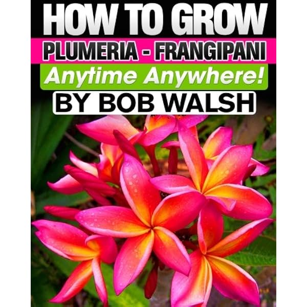 趣味・スポーツ・実用 The Exotic Plumeria Volume 1 Amazon.com: The Exotic Plumeria, a pictorial, Volume 1