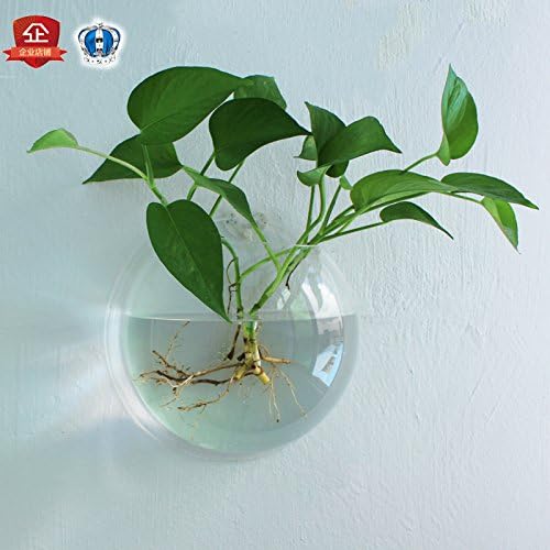 ZHFC Home Decor ZHFC-Creative Home Furnishing jewelry ornaments hanging wall flower cultivation hydroponic flowerpot suspension wall green wall vase, Round 185mm special naked cylinder (no gift)