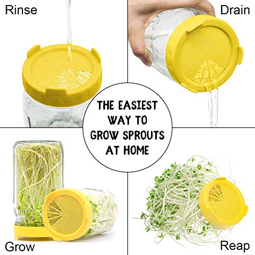 image for Qinline Sprouting Lids For Wide Mouth Mason Jars, BPA Free Plastic Bee