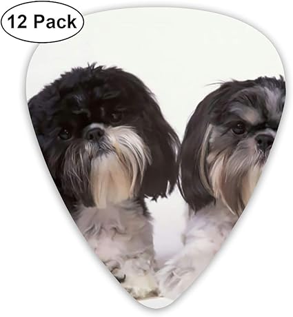 Amazon ギターアクセサリ かわいいシーズー ギターピック 12枚セット ピック 様々な厚さ カラフル 収納ボックス付 ギターピック 楽器