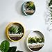 3 Pack Set Wall Planters Modern Wall Vase Succulent Planter Circle Flower Pot Metal Iron Indoor Vertical Container Wall Hanging Home Decoration Size S,M,L Black, Include 3 Artificial Succulent Plantsthumb 4