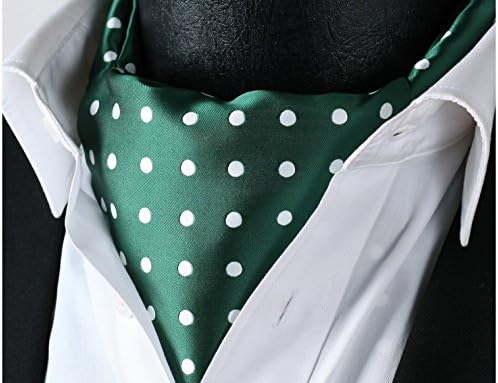 SetSense Men's Polka Dot Jacquard Woven Ascot Set