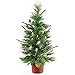 CASA CLAUSI Christmas Tree with Ornaments 24Inch Pre-lit Multi-Colored Lights Artificial Green Tree on Wood Base