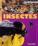 Insectes by 