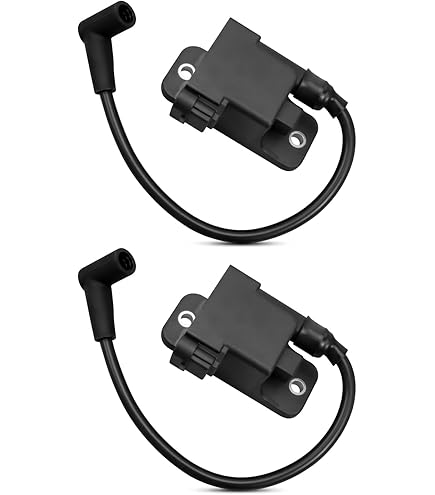 Amazon.com: Outboard Ignition Coil CDM Module for Mercury