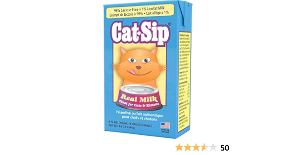 cat sip cat milk