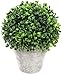 Silk Road Home Artificial Boxwood Topiary Ball Table Top Plant with Decorative Pot 8 inches Tall Realistic Indoor Faux Decor (8 Inches)