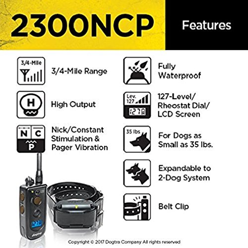 Dogtra 1 Dog Advance Training Collar 2300 NCP