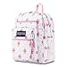 JanSport JS00TDN758X Big Student Backpack, Cupcakes