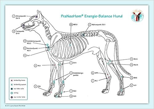 Praneohom Energiebalance Hund Praneohom Akupunktur Tafel