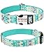 Taglory Heavy Duty Dog Collar Personalized, Quick Release Buckle Engraved with Name and Phone Number, Custom Girl & Boy Collars for Extra Small Dogs, 8-12 Inches Teal Bluethumb 4