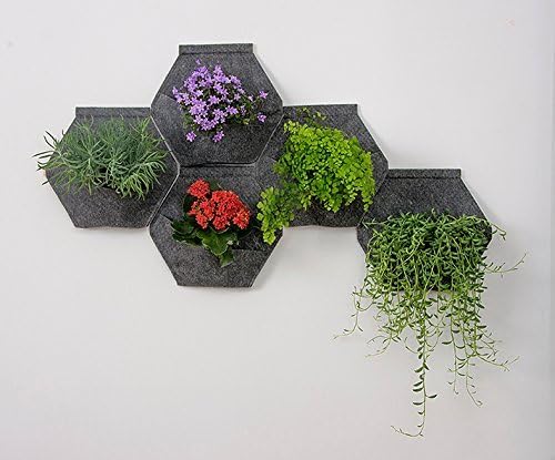 Jardín vertical. Pack de 4 Sacos Orgánico Mh (30x30x15cm) + Manual ...