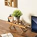 MyGift 3-Tier Beige Bamboo Plant Display Stand, Desktop Shelf Rackthumb 1