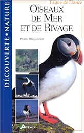 Oiseaux de mer et de rivage