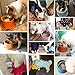 Super Design Elevated Dog Bowl Raised Dog Feeder for Food and Water, Non Spill Edges & Non Skid Sturdy Melamine Stand, Reduce Neck Stress, Less Regurgitating and Vomiting Black