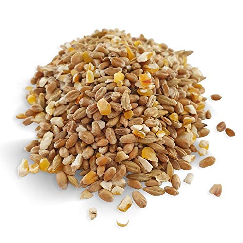 Champ Geflügelkörnerfutter, 25 kg Hühnerfutter geprüft mit Muschelschalen ohne Gentechnik VLOG – Bild 3