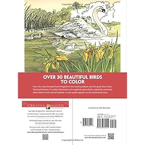 Creative Haven Beautiful Birds Coloring Book (Adult Coloring)