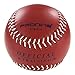 WILDYAK ProNine Weighted Softball for Pitching Practice 12 Inch (10 Oz.) Ball