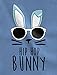 TeeStars - Hip Hop Bunny Funny Gift For Easter Toddler/Infant Kids T-Shirt