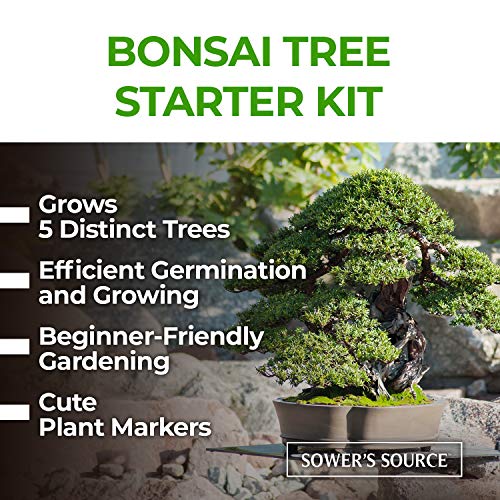 4 Complete+Starter+Beginner+Miniature+Biodegradable