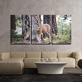 3 Piece Canvas Wall Art - Wild Animal of Deer in The Forest - Modern Home Art Stretched and Framed Ready to Hang - 16"x24"x3 Panels