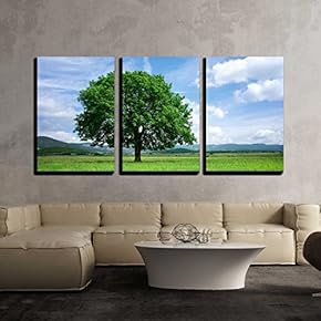 3 Piece Canvas Wall Art - Tree on Green Field - Modern Home Art Stretched and Framed Ready to Hang - 16"x24"x3 Panels
