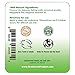Green Love Natural Deodorant for Women - Aluminum Free Womens Antiperspirant Stick with Baking Soda - Ultra-Efficient, No Parabens Underarm Female Deodorant with All Natural Ingredients - Bergamot