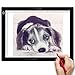 A4 LED Light Pad, Ultra Thin Portable LED Light Tracer, Full Range Dimmable with USB Power Cable for Artists, Sketching, Drawing, Tracing, X-ray Viewing