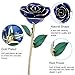 ZJchao 24K Dark Blue Rose Gifts for Her, Love Dipped Gold Real Rose Flower Preserved Eternal Christmas Anniversary Valentine's Day Present for Wife, Mom, Grandma (Dark Blue)