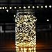 DecorNova 2-Set 60 LED Operated Fairy String Lights 3 AA Battery Case & Timer,9.8ft,Warm White