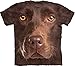 Chocolate Lab Face T-Shirt