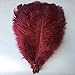 Sowder 10pcs Ostrich Feathers 12-14inch(30-35cm) for Home Wedding Decoration(burgundy)