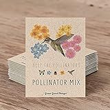 Bentley Seeds Wildflower Seed Mix - Pre Filled